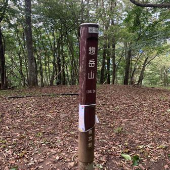 惣岳山🪧