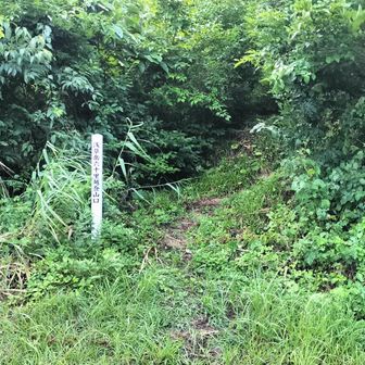 魚沼側にある六十里越登山口