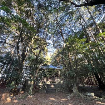 顔戸八幡神社奥の院。この山めちゃくちゃ楽しい😀