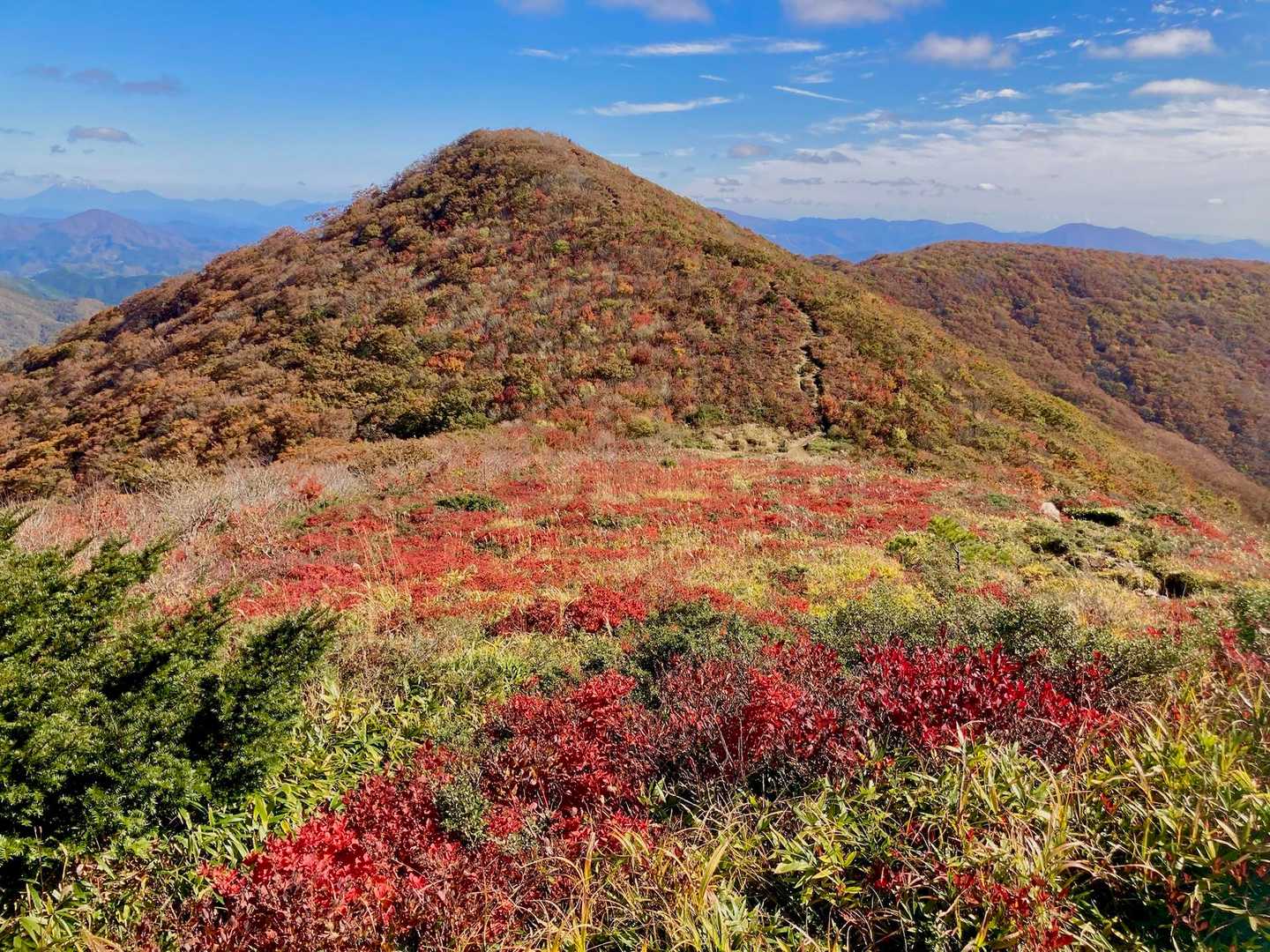 ひろしま県民の森登山口-越原越 周回コースの写真