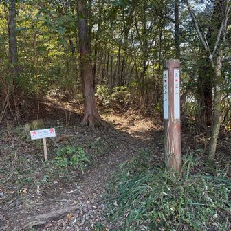 絶景に見とれて見逃しそうに