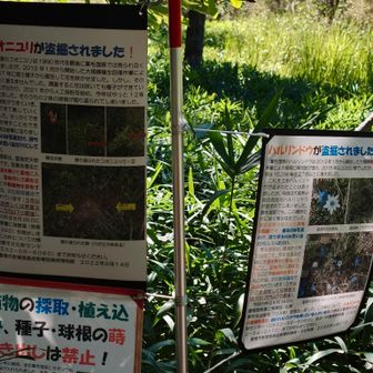 盗んだやつの金も盗まれろ