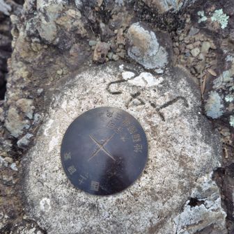 これも三角点？