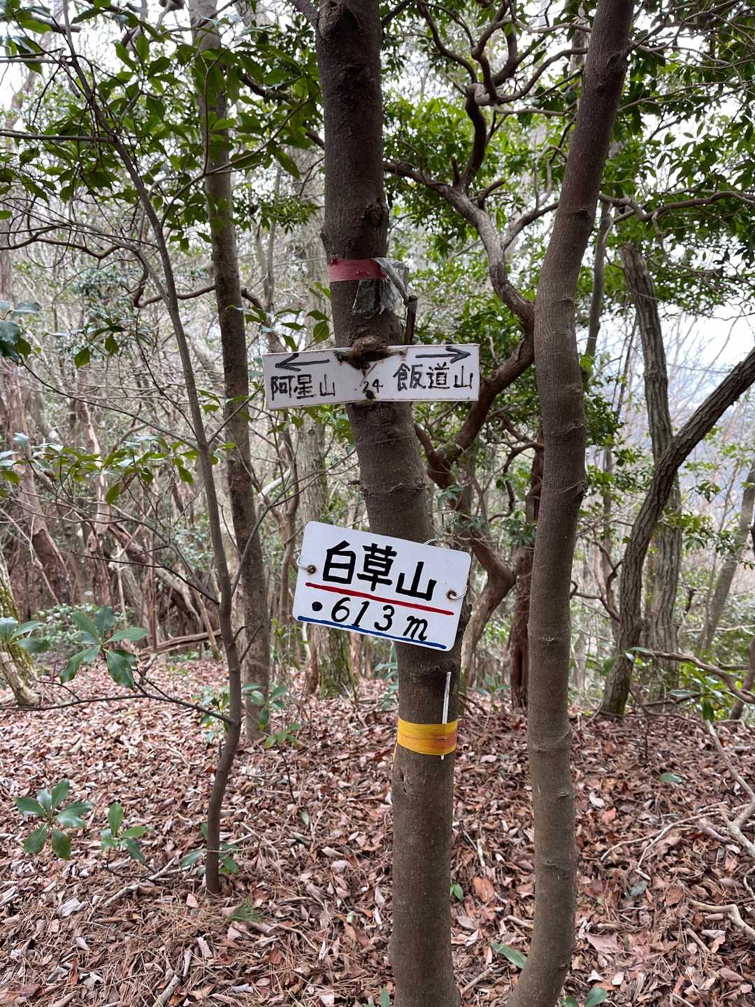 ここまでが中々の登山道でした