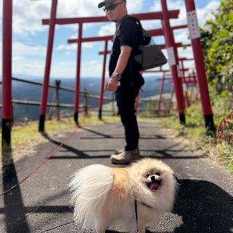 初めてのところ、楽しそう！！