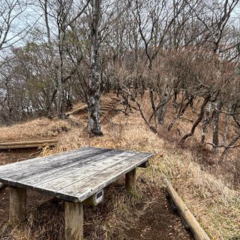 やった❗️誰もいない❗️
今日はここでランチにしようと決めていました😊