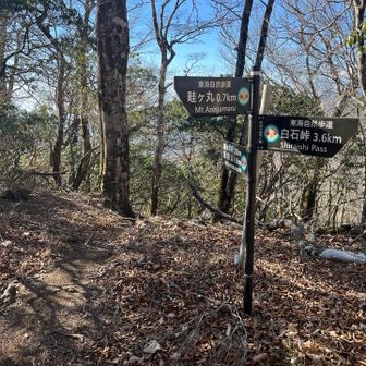 モロクボ沢ノ頭踏破。実に愉しい1時間であった。