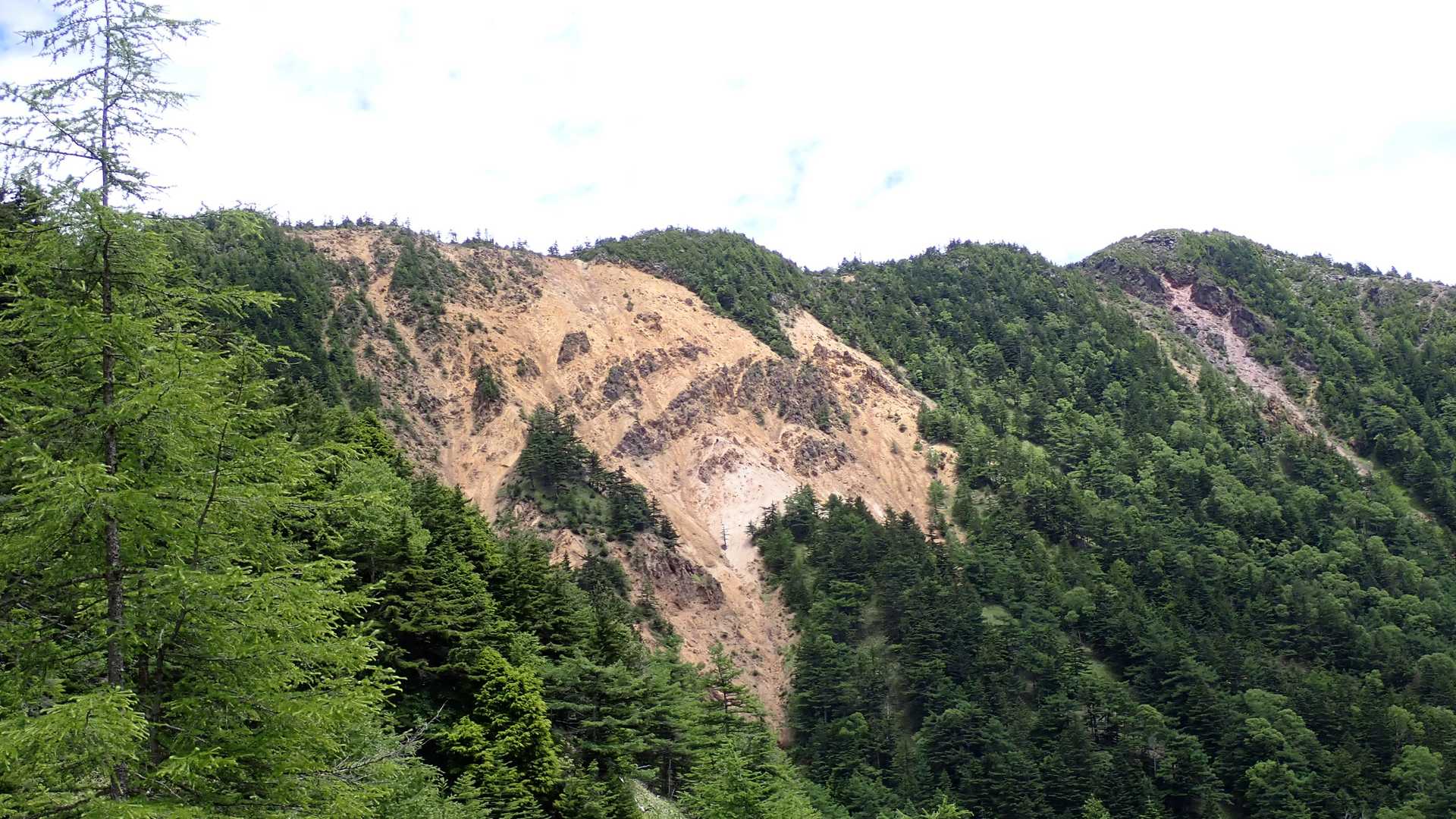 あの稜線を歩いたわけですな。一番右のてっぺんから鞍部にかけてがムフフですな。
