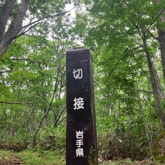 御神坂コース、
何号目とかはないみたいで🤔
こまめに目標地点が出てきます