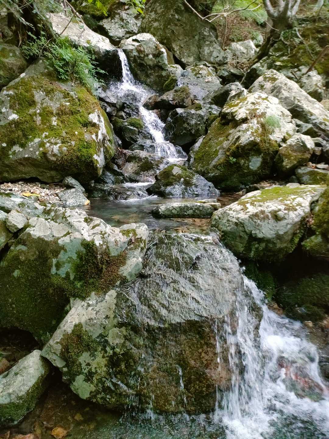 植松山 周回コースの写真