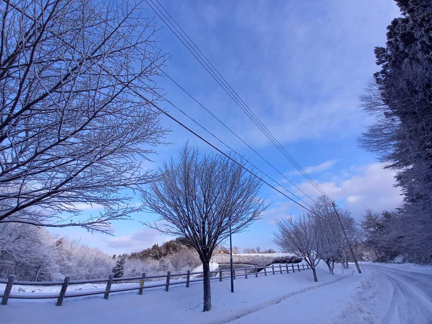 大開平〜階上岳コースの写真