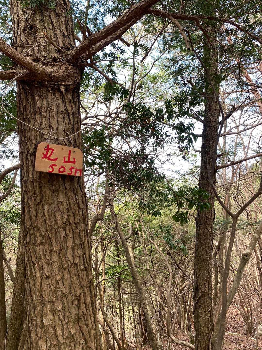 1つ目のピーク　丸山