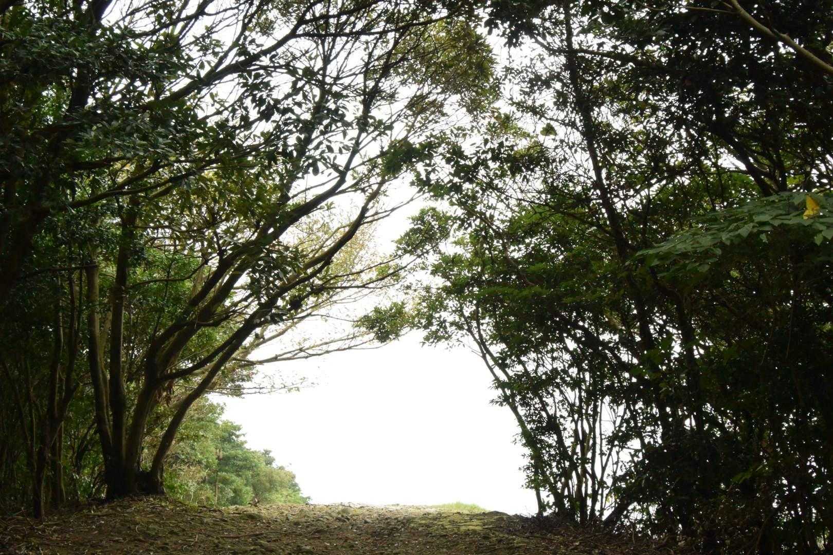 ここから青い空、広い海が見えるのを期待してた