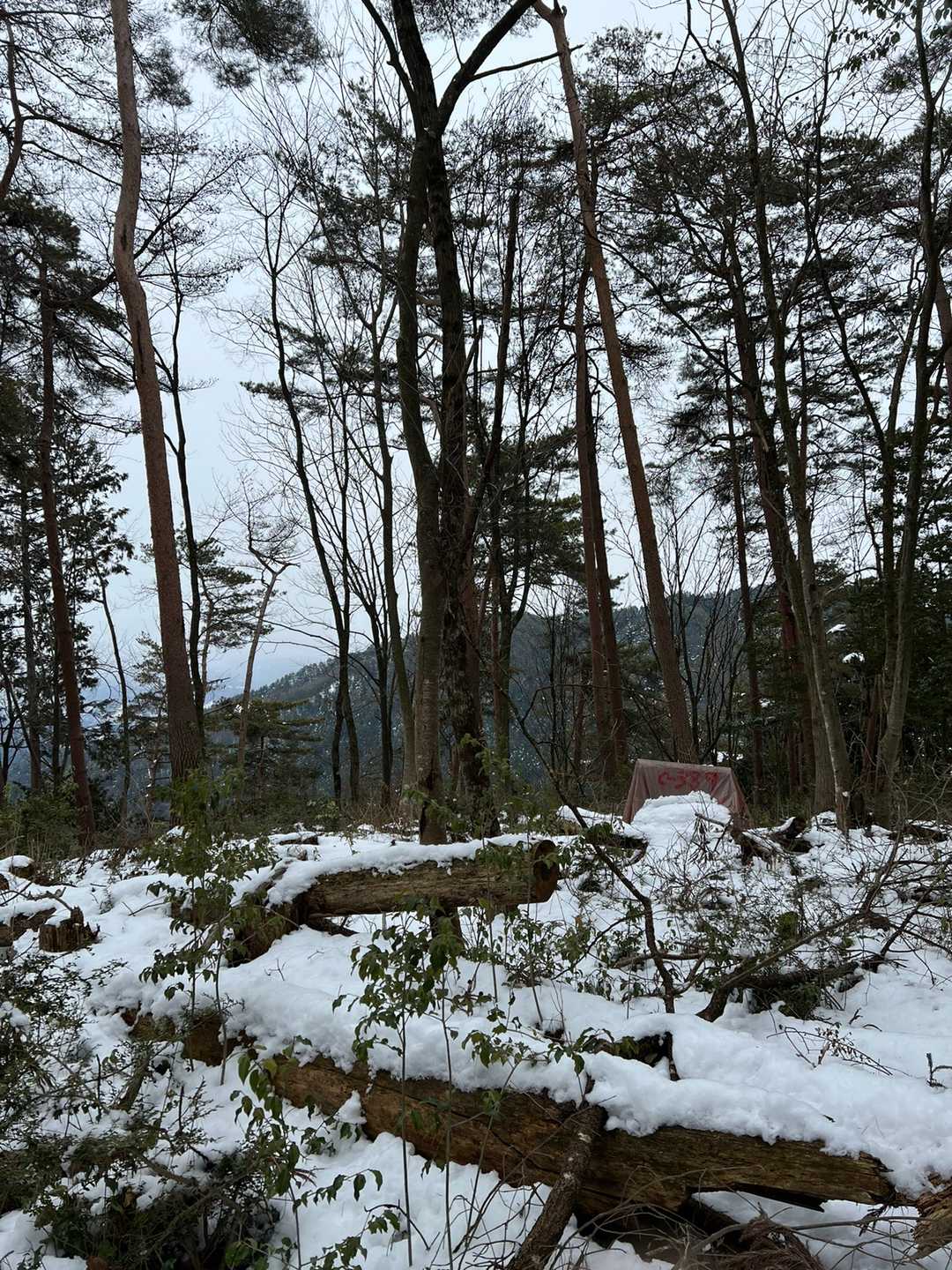 目の前にこの後登る二ツ山