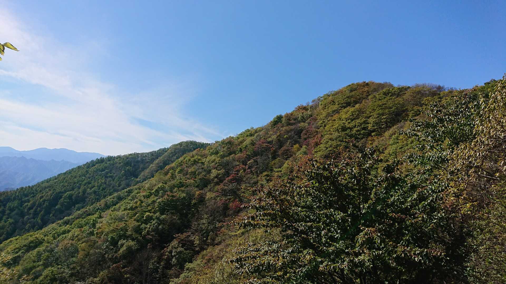赤久縄山の写真