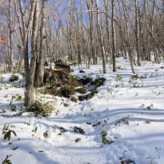 チェーンスパイクで