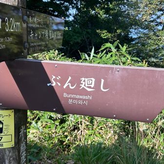 さぁぶん廻すぞ〜💪