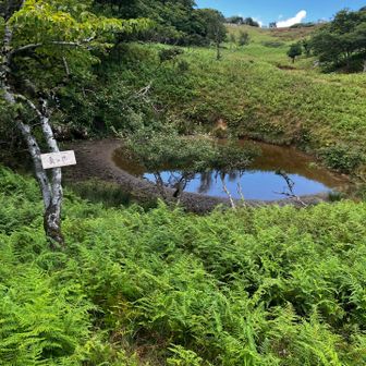 真の池。青空が美しい。でも水は少なく。