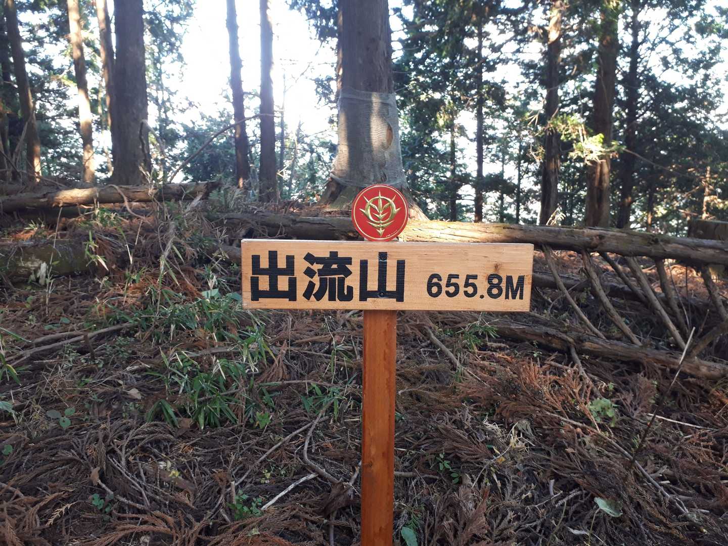眺望はなし。