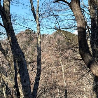 最後の鳥ノ胸山