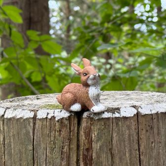次は大滝山へ🐿️