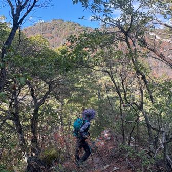 納古山にまた来るね👋