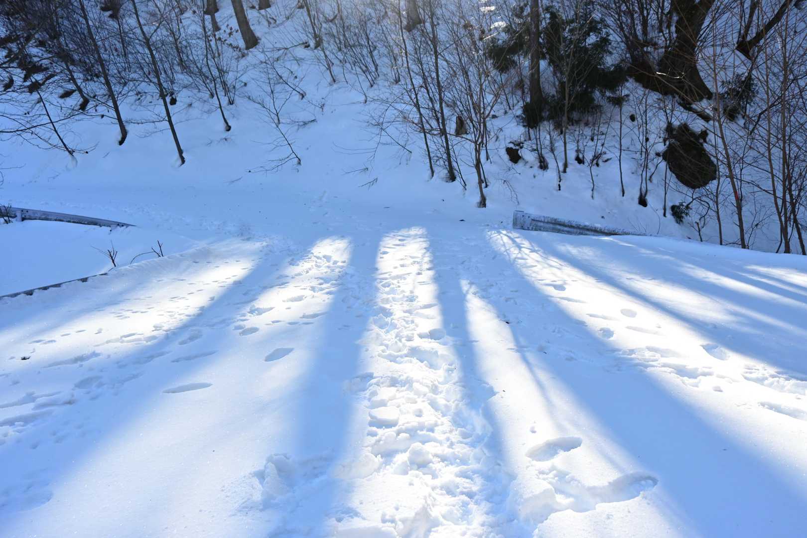 雪だらけ