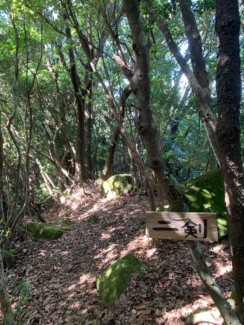 五剣山 往復コースの写真