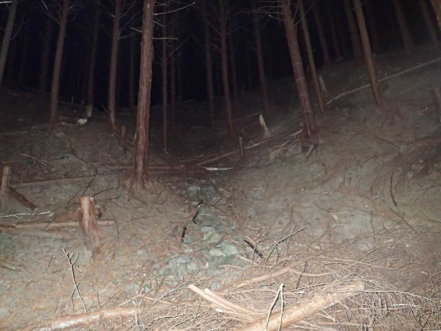 塚山をブラックスタートした人は他にいるまい🤣
この後スキー行くから早く下山したいのよ