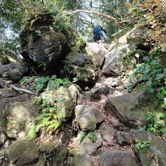 このあたりから急に岩山になる