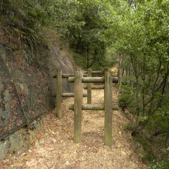 登坂開始♪