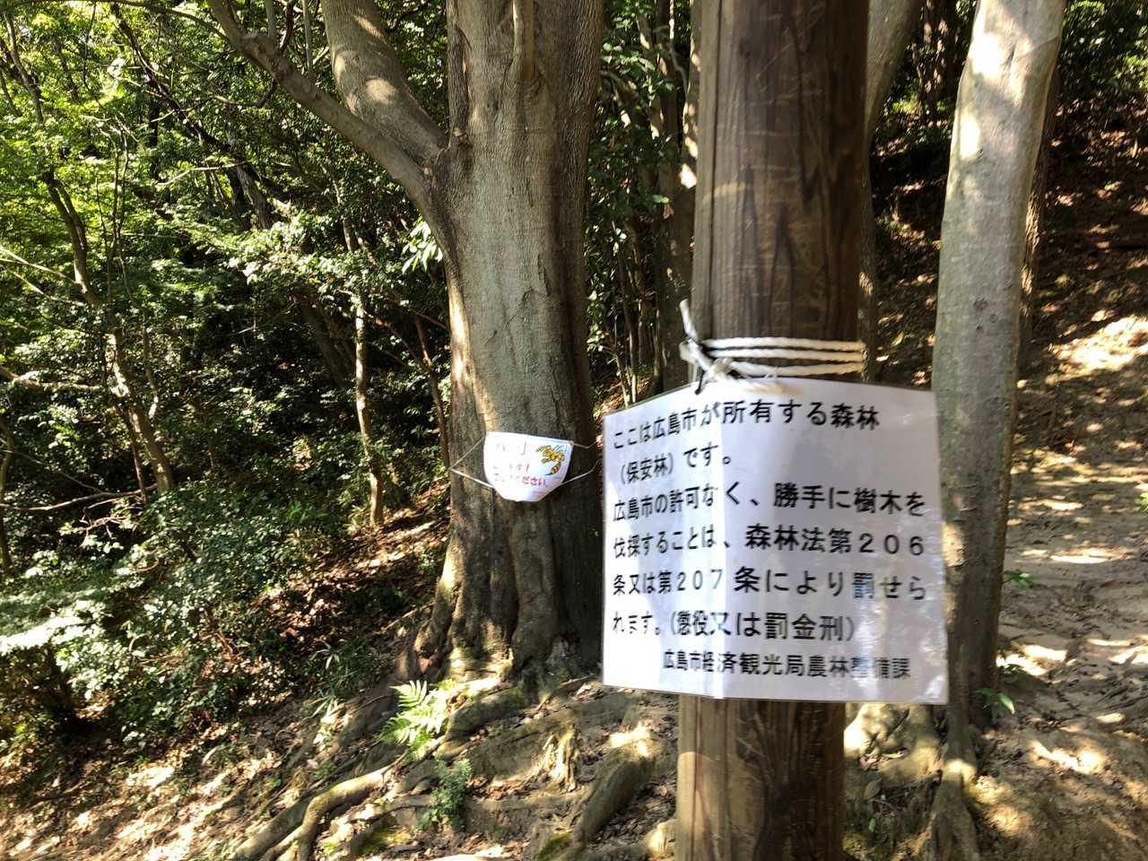 東屋に立ち寄りました
この山は結構人の手が入っているので、安心感を持って登れるのですが、勝手に切ってはいけないのですね。
助かってるのにな。なんかトラプルでもあったのかな❓❓