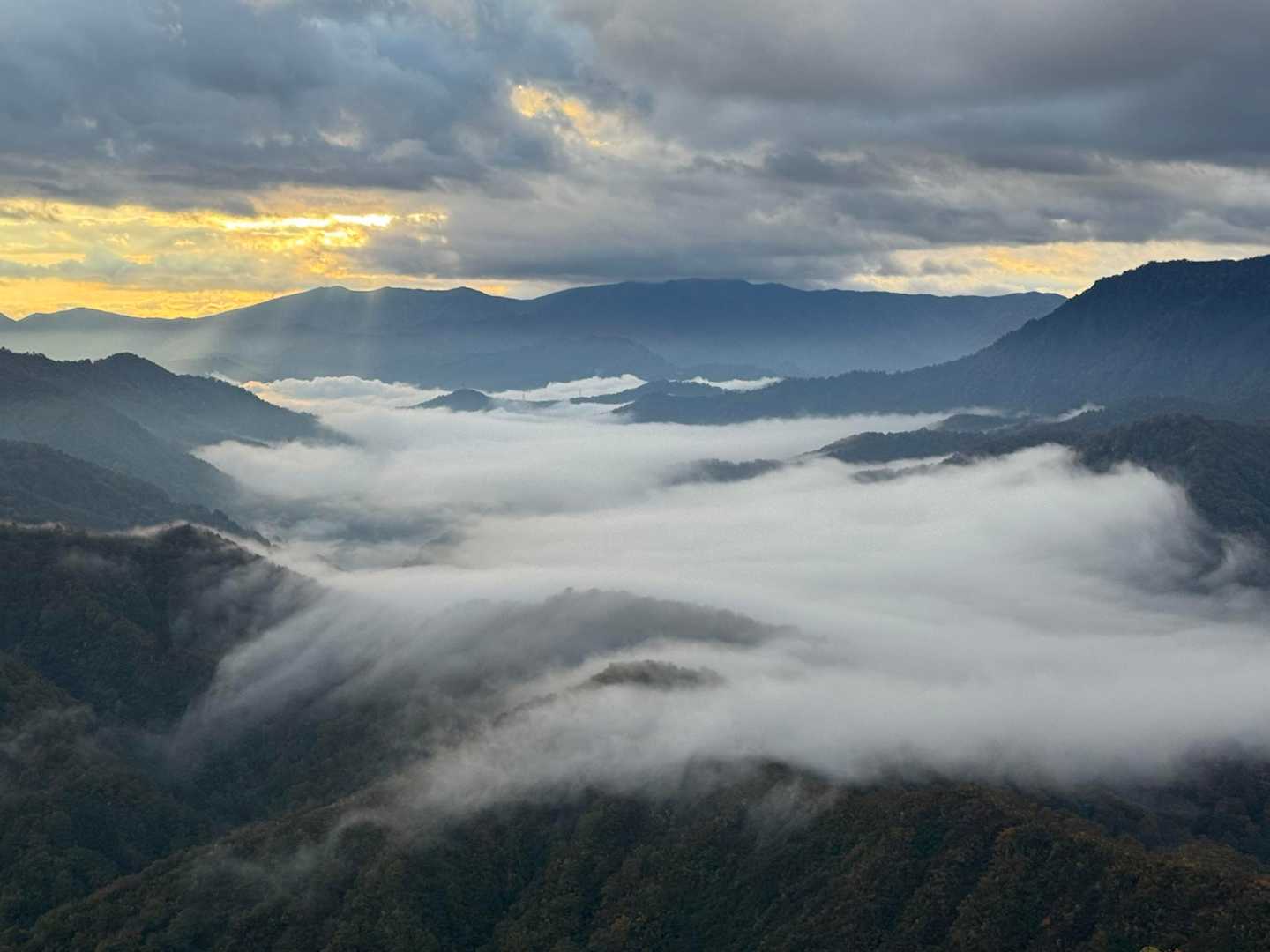 越後駒ヶ岳 往復 | 滝雲が湧く枝折峠から、花や眺望を楽しむ稜線歩きの写真