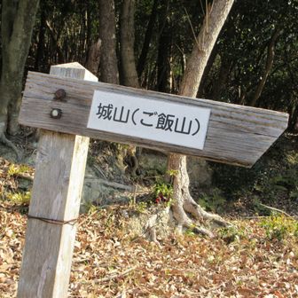 城山が正式名称みたい