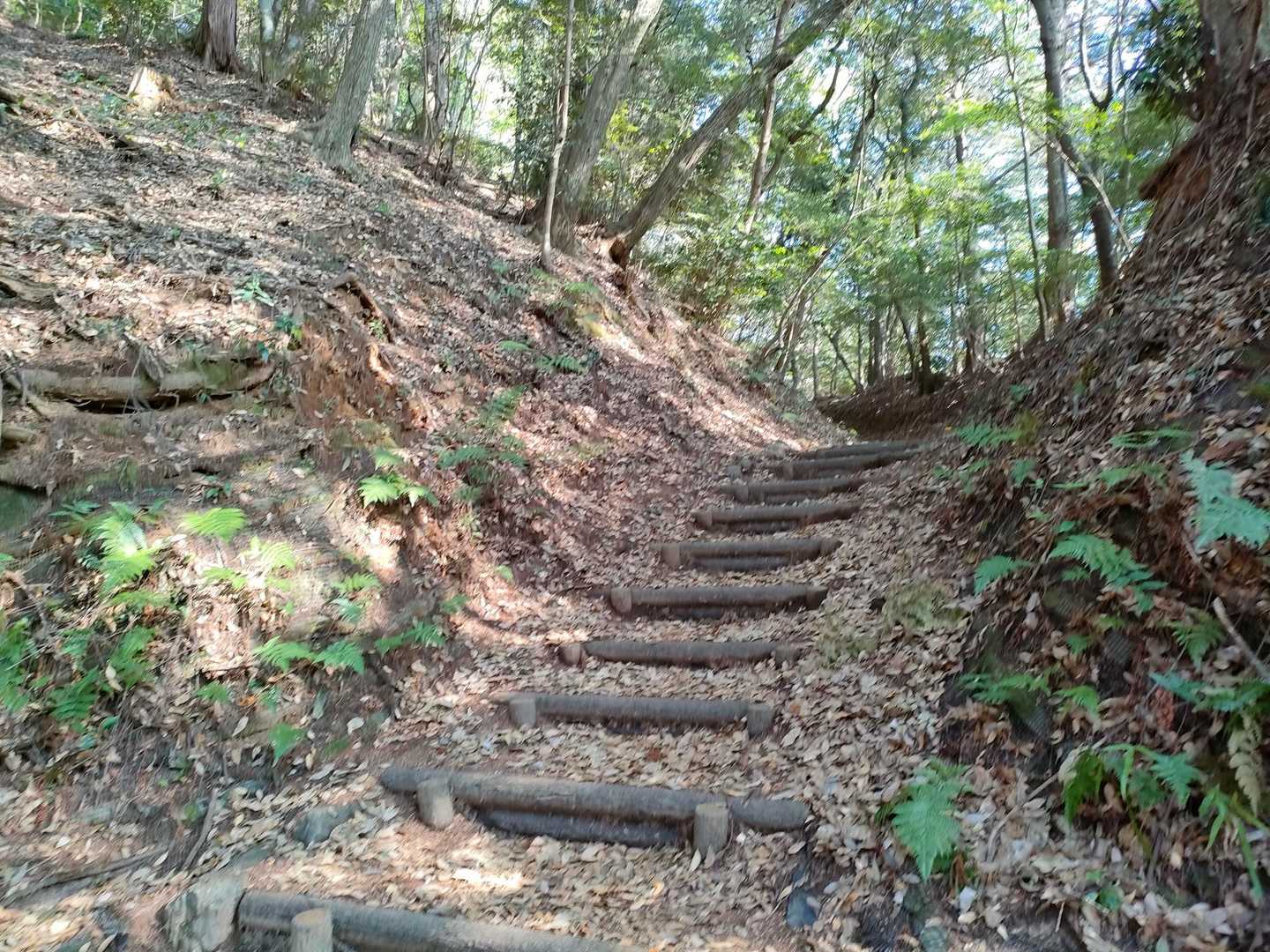 階段登ると