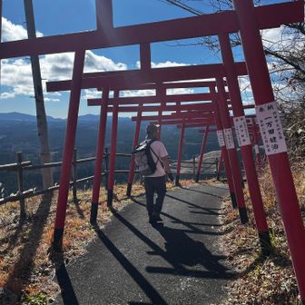 気分が乗ってしまい購入することに...笑
