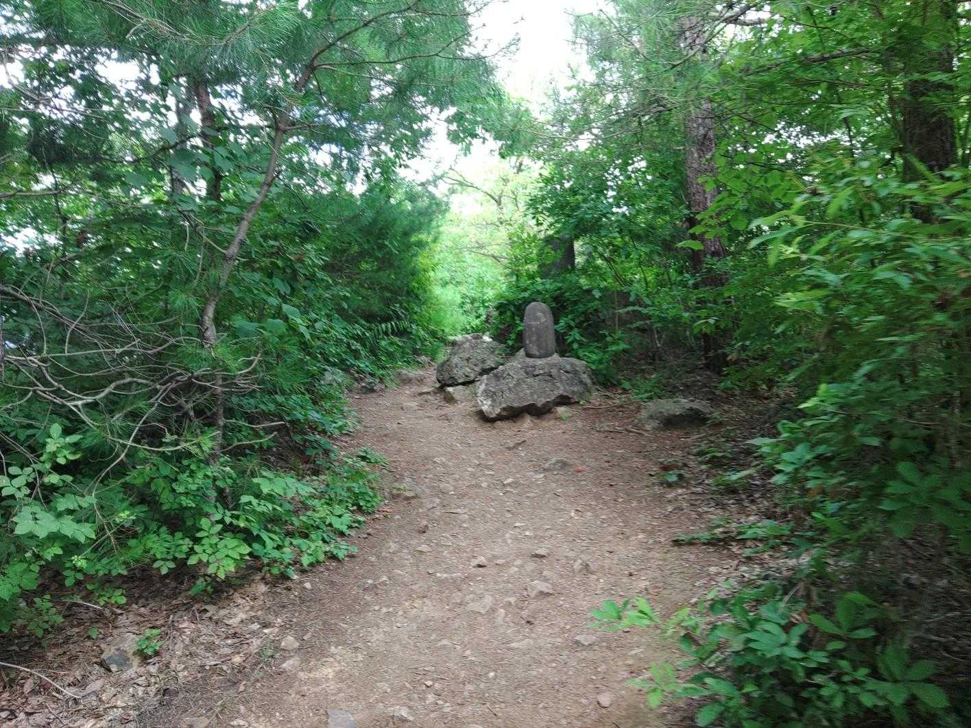 山頂。
日陰なので涼しい