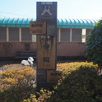 ここは今宿らしい