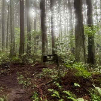 髻山に向かうよ✊