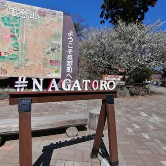 NAGATORO