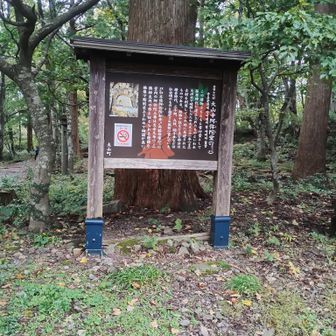 阿弥陀道へ行くが秘仏は隠されていました。
