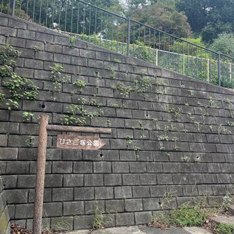 一個めもうすぐ