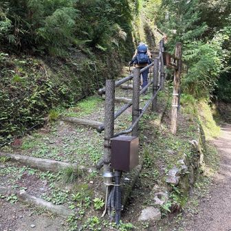 気付けば通り過ぎていてバック
ここが登り口
