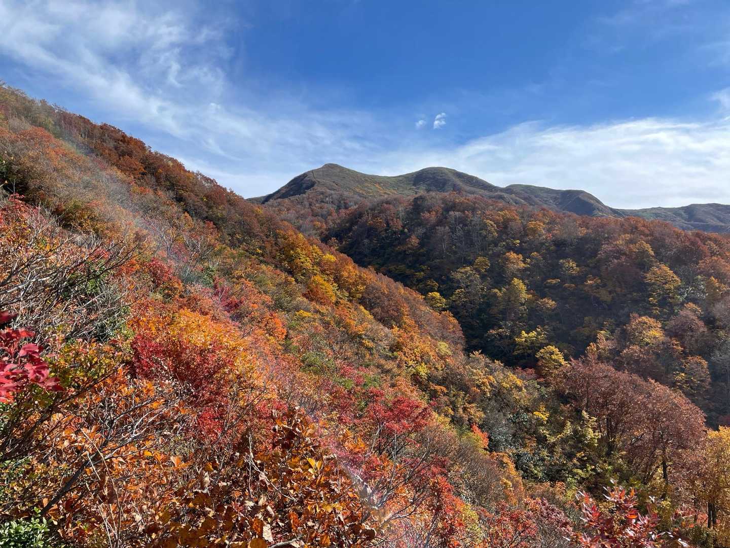 粟ヶ岳登山口-粟ヶ岳 往復コースの写真