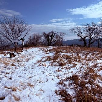 山頂は広く、暖かければピクニック出来そうです