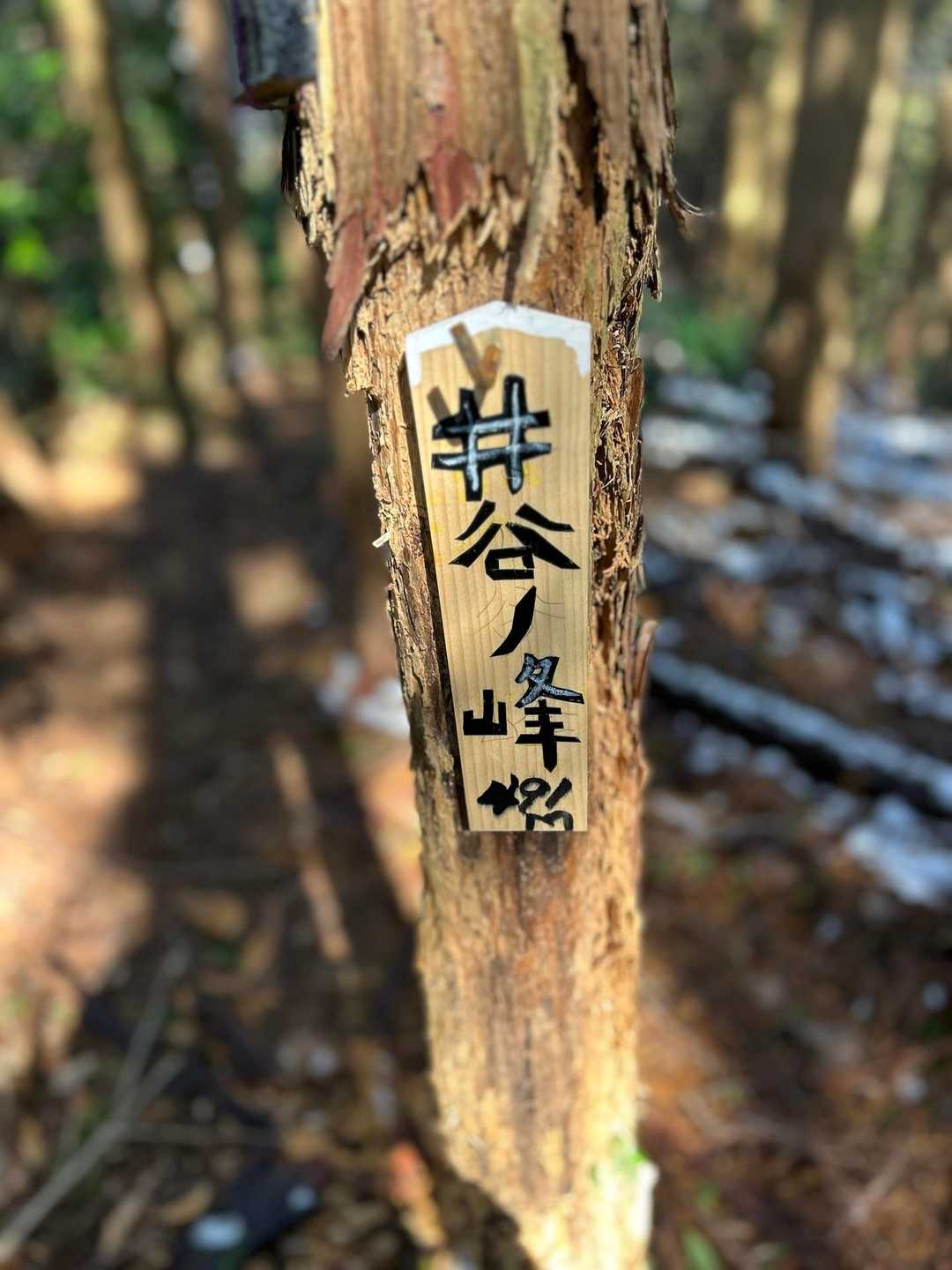 この辺りも、じゅるんでます。