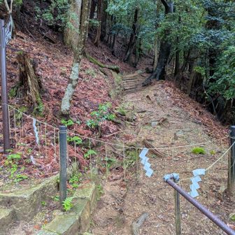 鞍馬山は倒木多数で通行止め🚧