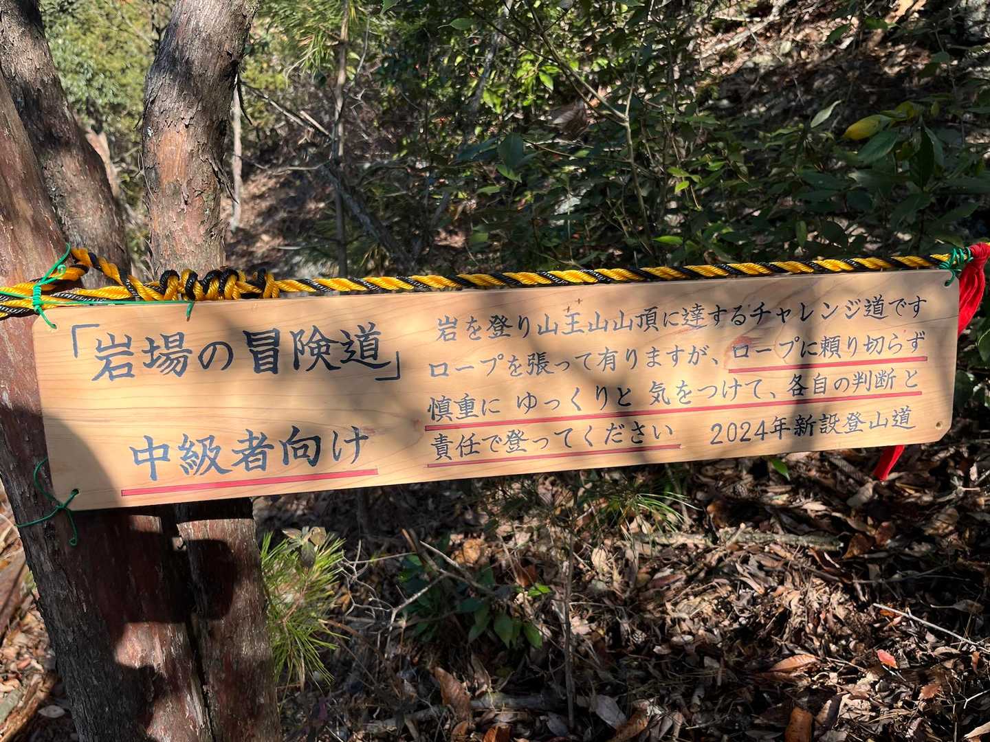 中級者向け？岩場の冒険道
ロープに頼り切らずに登るように書かれているけど
