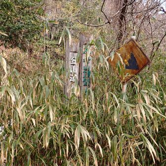 ここから登山道