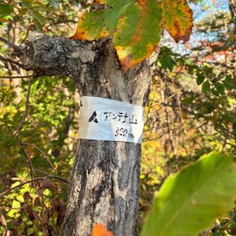 アンテナ山   後ろに高いアンテナ立ってる